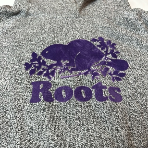 Roots Athletics Hoodie - Picture 3 of 9